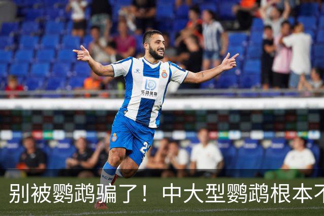 别被鹦鹉骗了！中大型鹦鹉根本不是宠物，是会飞的野生猛禽！