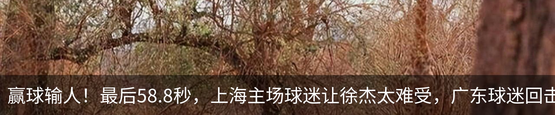 资讯动态